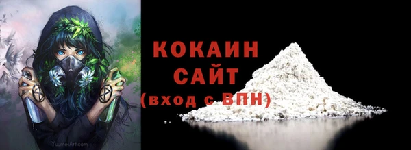 молекула духа Белоозёрский