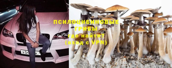 наркотики Новозыбков