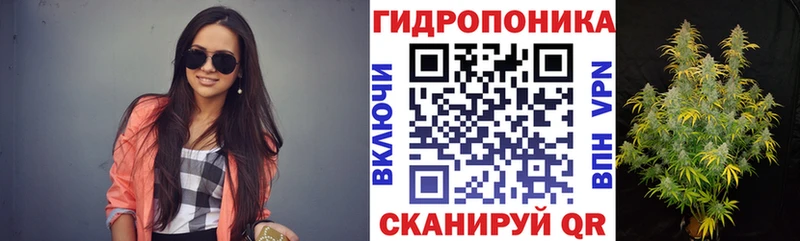 Бошки Шишки Bruce Banner  OMG как войти  Первомайск 